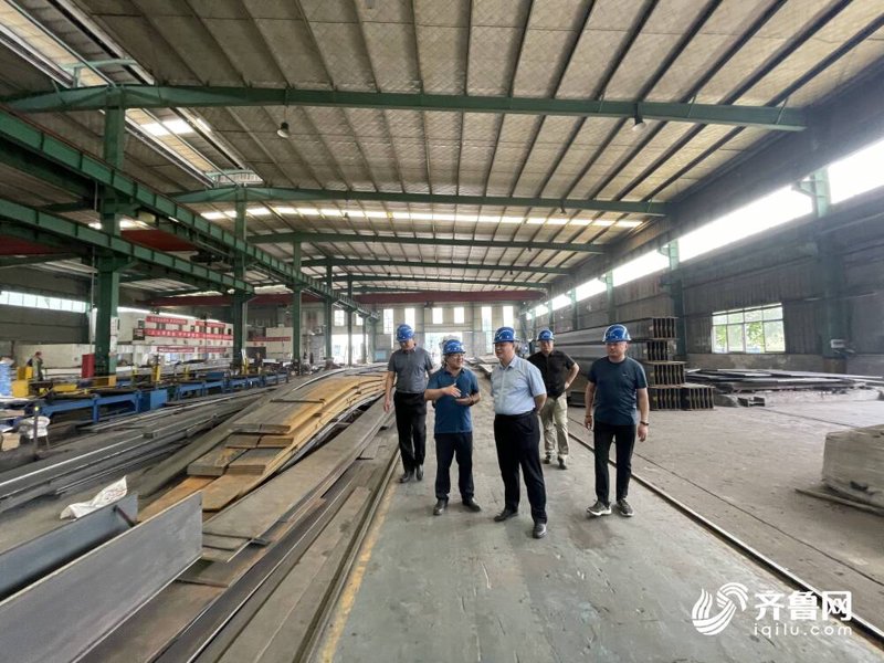 钢结构施工方案模板范文免费下载